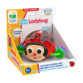 Early Learning Crawl About Ladybug - Interactive Crawling Toy