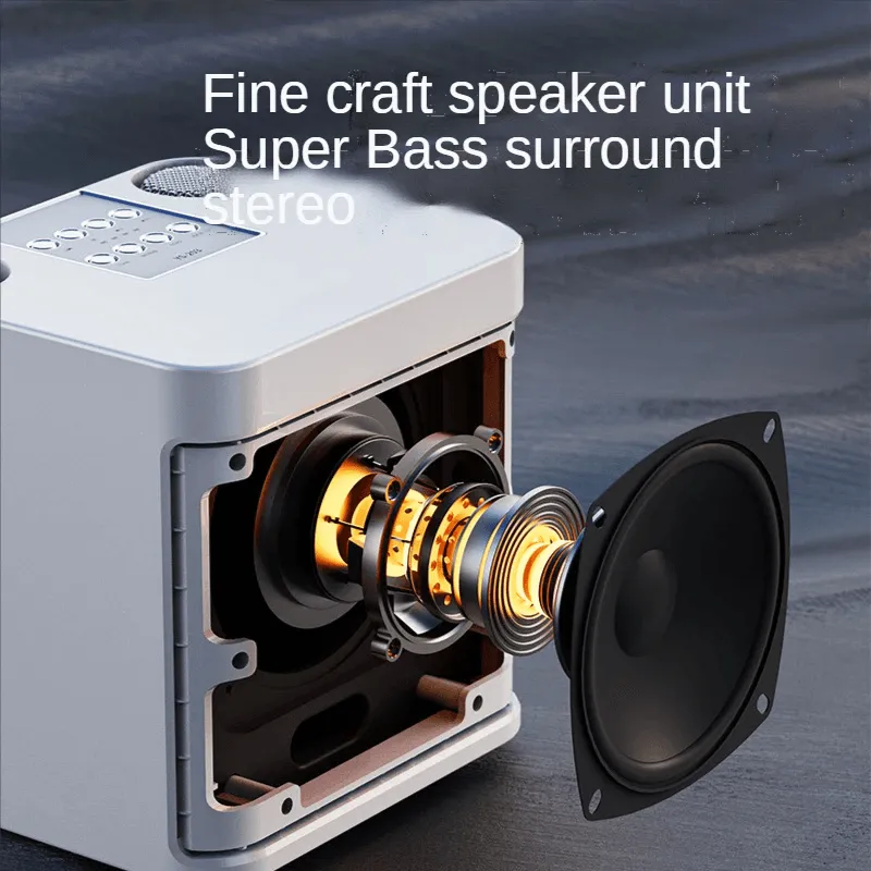 Wireless Karaoke Speaker With Two Microphones KD-203