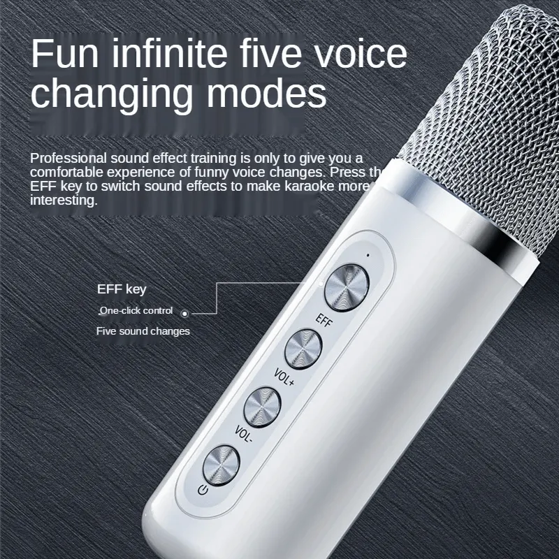Wireless Karaoke Speaker With Two Microphones KD-203