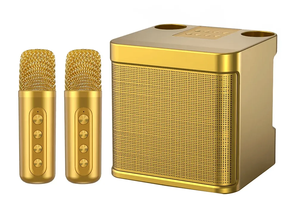 Wireless Karaoke Speaker With Two Microphones KD-203